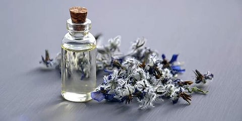 Image used for representational purposes only (Photo | Pexels)