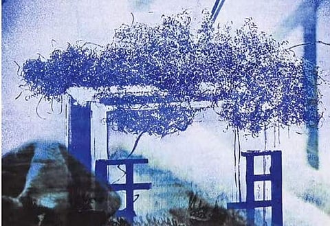 Capturing the world in blue