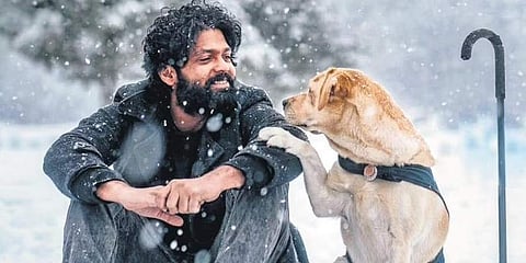 A still from the film 777 Charlie. ( File Photo)