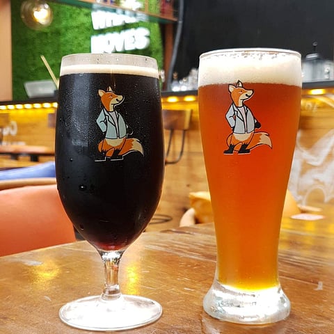 Craft beer from Fox in the Field