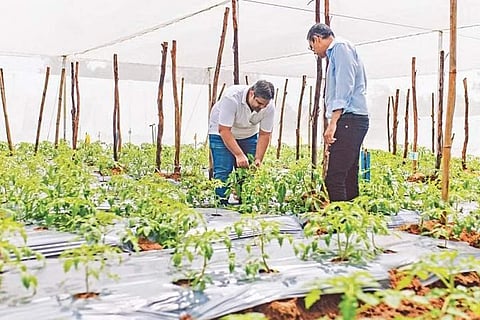 For representational purposes