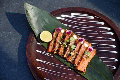 Salmon tataki