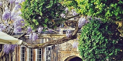 Parsonage Grill in Oxford