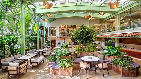 Food review: All about Hyderabad’s first chocolatier Manam and its gourmet confections