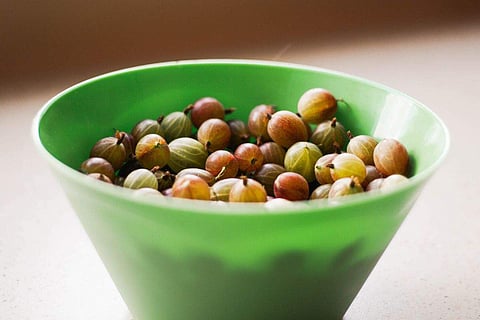 Photo Credits: Pexels