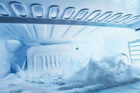 Capsule 2. (Photo | Express)