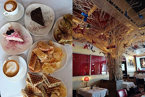 Head over to Trincas today to see their aesthetic Christmas tree and taste the yummy winter menu