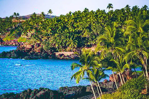 In frame: Goa (Image for representational purpose)