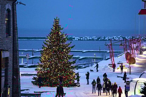 People walk around a Christmas tree decorated for the Christmas and New Year festivities at the Noblessner port in the Tallinn Bay, Estonia