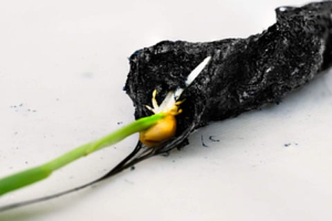 New 'electronic soil' may enhance crop growth