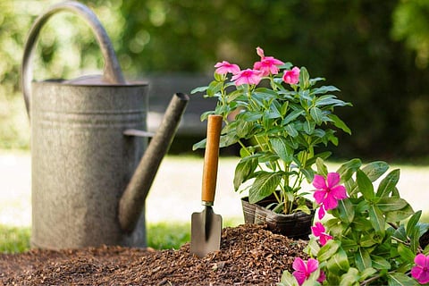 Photo used for representative purposes