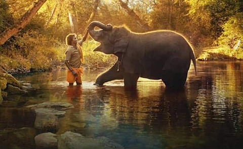 A scene from The Elephant Whisperers