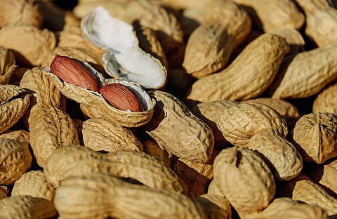 Here are some benefits of peanuts you might not know