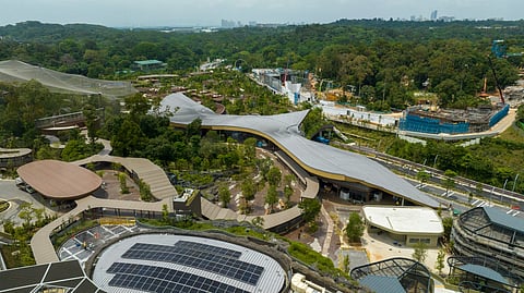 Mandai Wildlife West connecting the entrance and winged canopy of Bird Paradise
