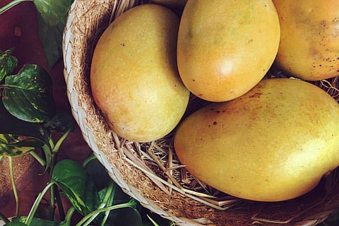 Organic mangoes are all the craze this season