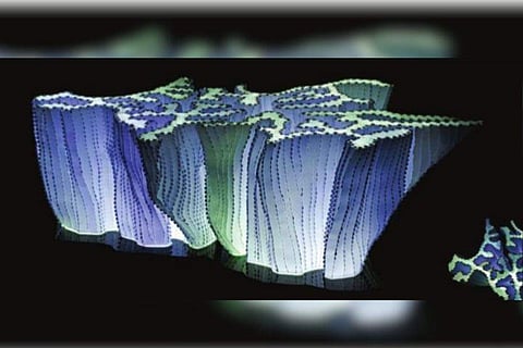 Khôral; bottom-up view of the installation