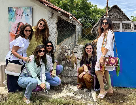 Nisha, Aru, Mehndi, Reena, Paloma & Punam