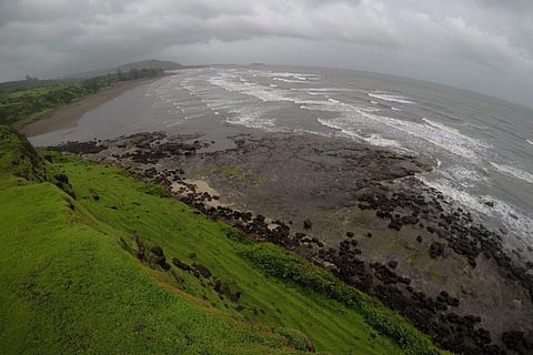 Anjarle Beach is one of the few places in India where you can spot Olive Ridley turtles