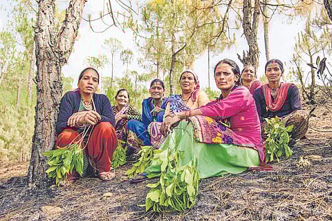 Firefighters of Sitlakhet