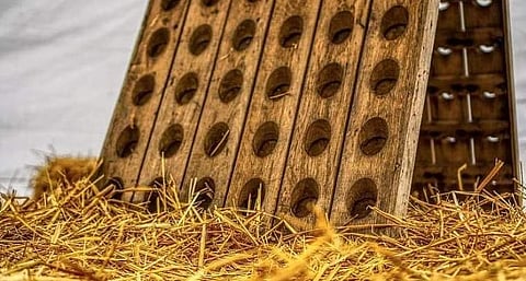 Image used for representative purposes only