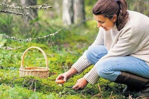Field Day in Finland  