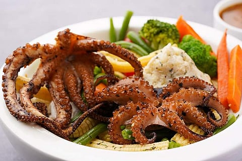 Braised Octopus With Red Wine Sauce