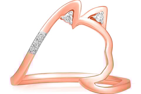 Cat- Mysterious whiskers