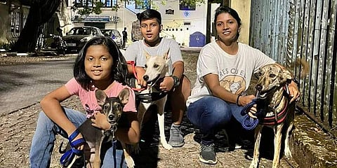 Leanne, Tobith and Tanja Fernandes on a walk with their foster pets