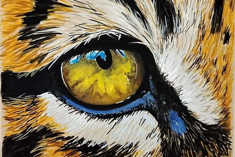 Join in to witness a tribute to the majestic tigers