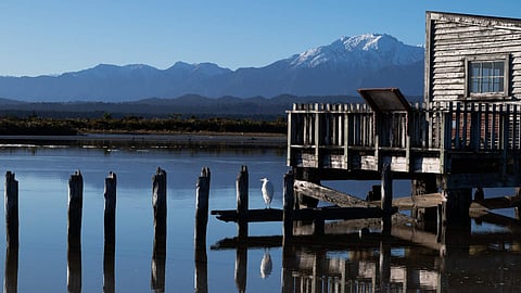 Okarito Boat Eco-Tour