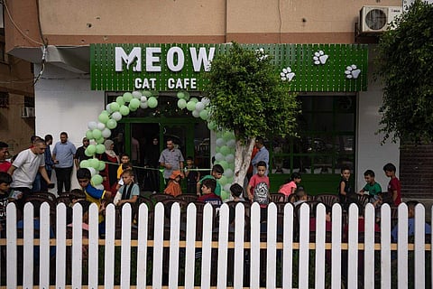Palestinians gather for the opening ceremony of Meow Cafe in Gaza City