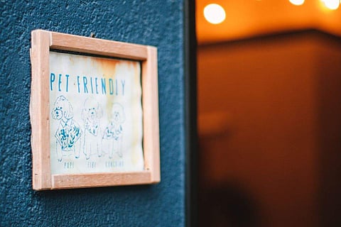 International Dog Day: Top places to visit for a Dog 'pet-friendly vacation'