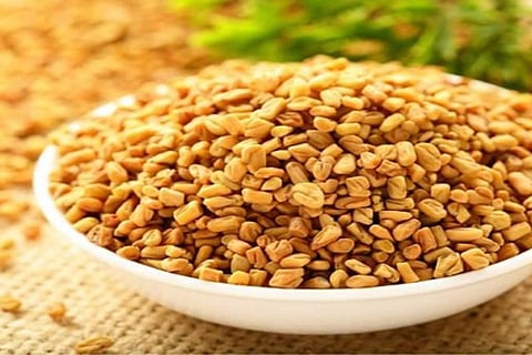 Fenugreek seeds are rich in essential nutrients