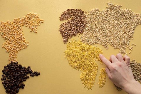 Organisations like the UN have brought these nutrient-packed grains into the spotlight