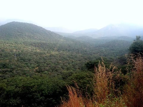 Male Mahadeshwara Hills