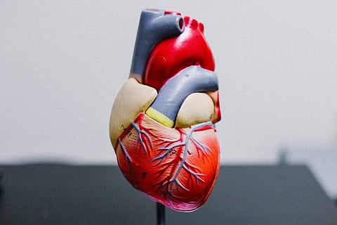 Representational image (Source: Unsplash)