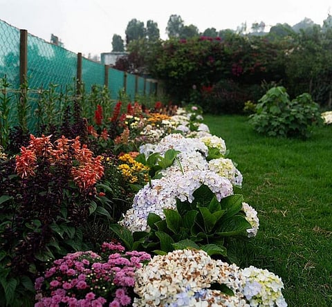 Some exhibits that can be expected at the Indo-American Hybrid Seeds plant exhibition