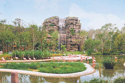 Mandai Bird Paradise