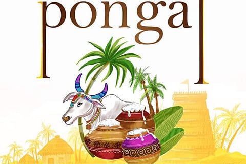 Pongal 2024: A comprehensive dive into the rich traditions of the harvest celebration 