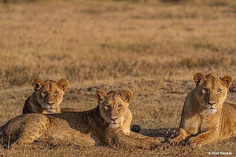 In frame: One of the works showcased at the exhibition