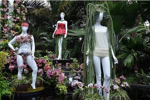 In frame: A fashion-creation inspired by nature from Dauphinette designed by Olivia Cheng