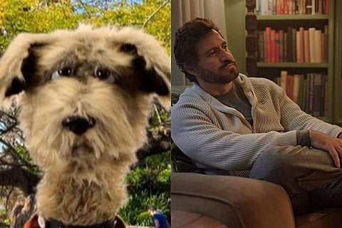 A poster from The Underdoggs and a scene from Wolf Like Me