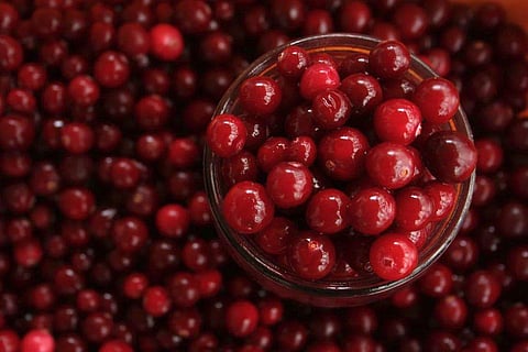 Image Credits: Pexels