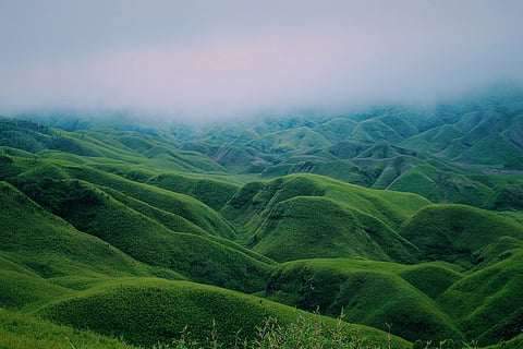 Lush hill of Nagaland