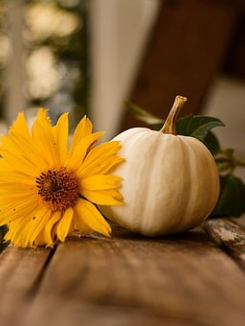 Thanksgiving Day 2022: 5 smoothie recipes by Lavazza India Head Trainer Abdul Sahid Khan