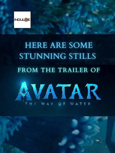 Here are some stunning stills from the trailer of Avatar: The Way of Water