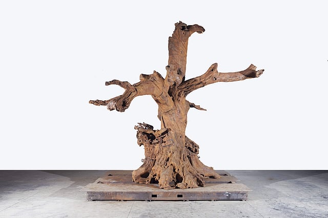 Ai Weiwei’s <em>Iron Tree</em> (2016)