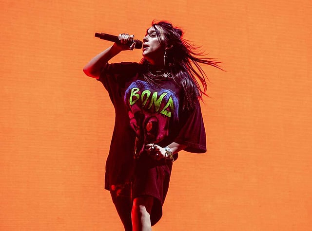<em>Billie Eilish (Photo by Amy Harris/Invision/AP)</em>