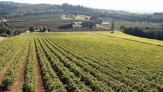 <em>Willamette Valley, Oregon</em>