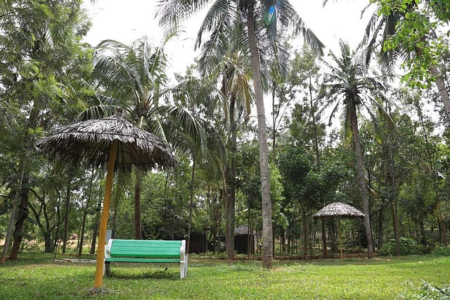 The serene surroundings of the resort